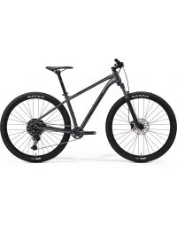 Jalgratas Merida BIG.NINE 200 IV1 DARK SILVER(BLACK)