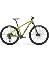 Jalgratas Merida BIG.NINE 400 IV1 SILK FALL GREEN(BLACK)