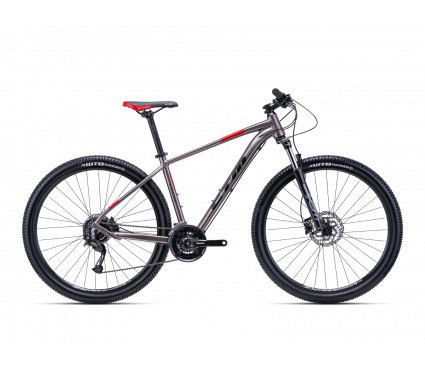 Jalgratas CTM RAMBLER 1.0 29" bronze grey/red