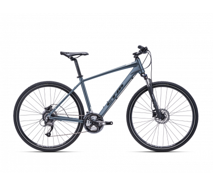 Jalgratas CTM STARK 2.0 grey/silver