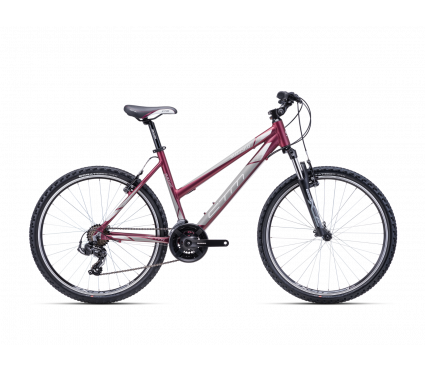 Jalgratas CTM SUZZY 1.0 burgundy red/grey