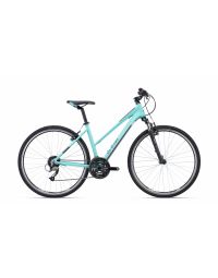 Jalgratas CTM BORA 1.0 matt turquoise