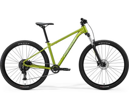 Merida BIG.NINE 20 FALL GREEN(SILVERGREEN)