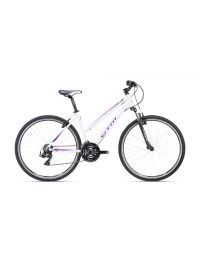 Jalgratas CTM MAXIMA 1.0 whitepurple pearl