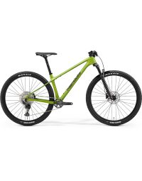 Jalgratas Merida BIG.NINE 3000 III1 MATT FALL GREEN(BLK/SLV-GRN)