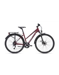 Jalgratas CTM BORA 2.0 trek matt red pearl/grey