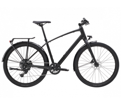 Jalgratas TREK DUAL SPORT 2 EQ Gen 5 Lithium Grey