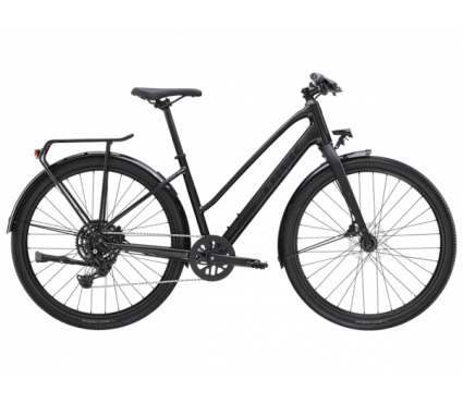 Jalgratas TREK DUAL SPORT 2 EQ STAGGER Gen 5 Lithium Grey