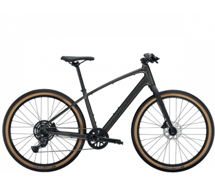 Jalgratas TREK DUAL SPORT 2 Gen 5 Lithium Grey