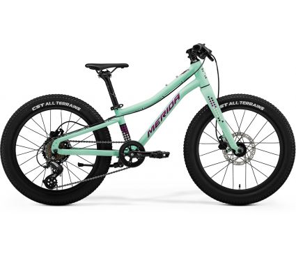 Jalgratas Merida MATTS J.20+ I2 MATT MINT(PURPLE/WHT/BLK)